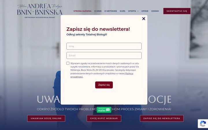 Screenshot of andreabninbninska.pl