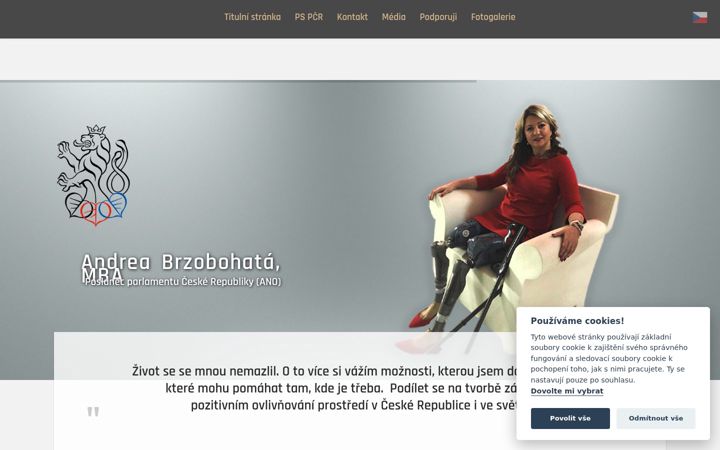 Screenshot of andreabrzobohata.cz