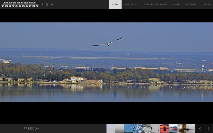 Screenshot of andreadigiacomo.it