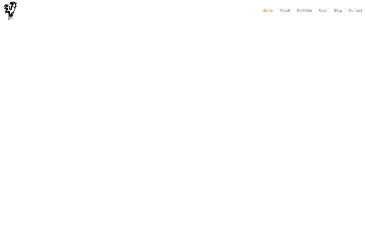 Screenshot of andreagallofilm.com