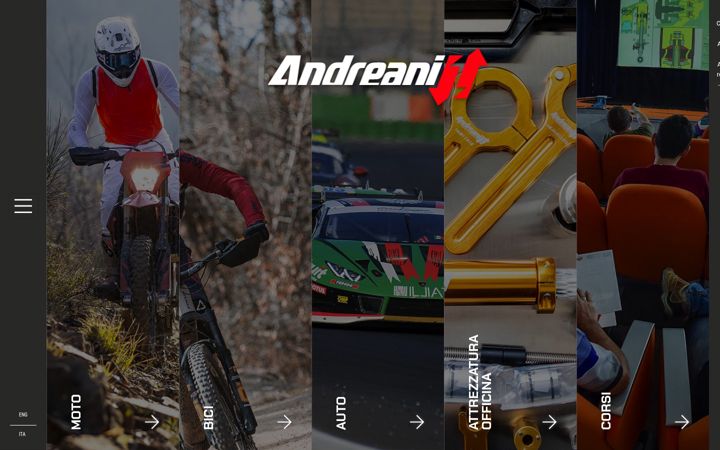 Screenshot of andreanigroup.com