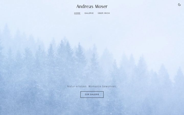 Zrzut ekranu andreas-moser.de