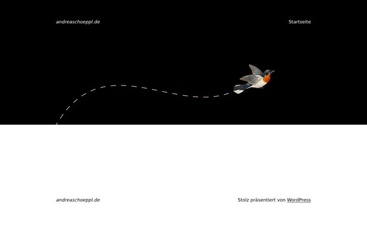 Screenshot of andreaschoeppl.de