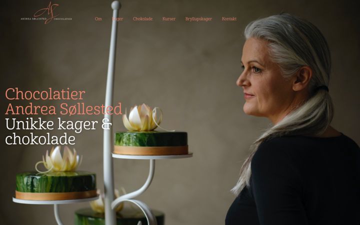 Screenshot of andreasollested.dk