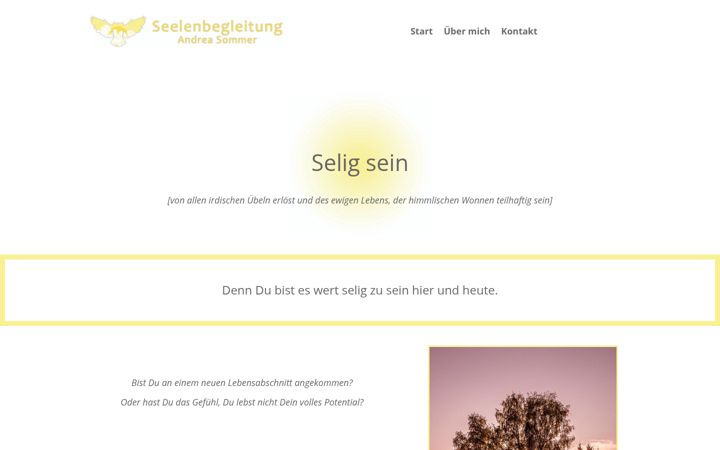Screenshot of andreasommer.com