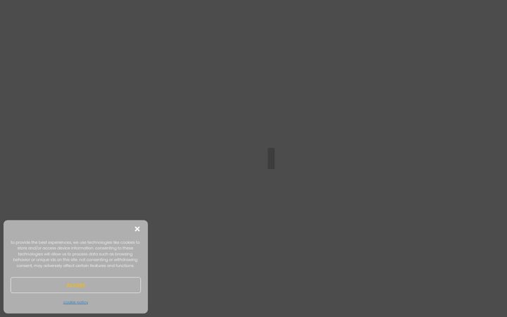 Screenshot of andreastobaben.eu