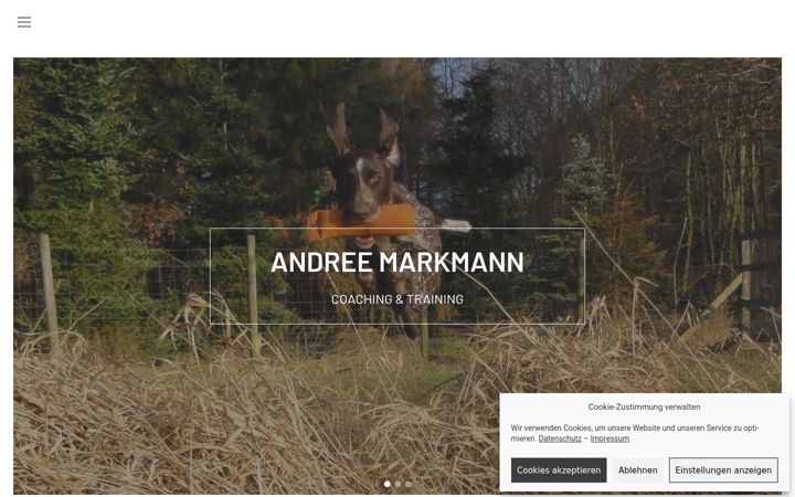 Screenshot of andree-markmann.de