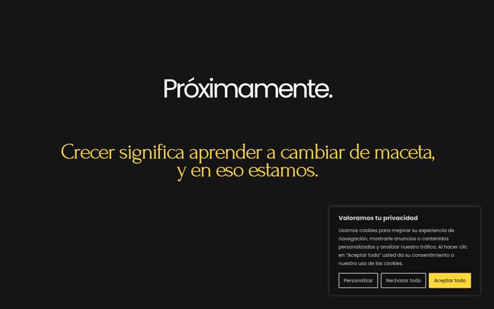 Screenshot of andreeamesser.com