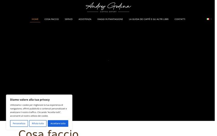 Screenshot of andrejgodinaconsulting.com