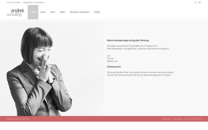 andrek-consulting.com