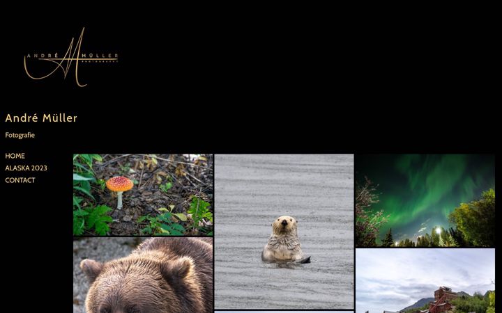 Screenshot of andremueller.photos