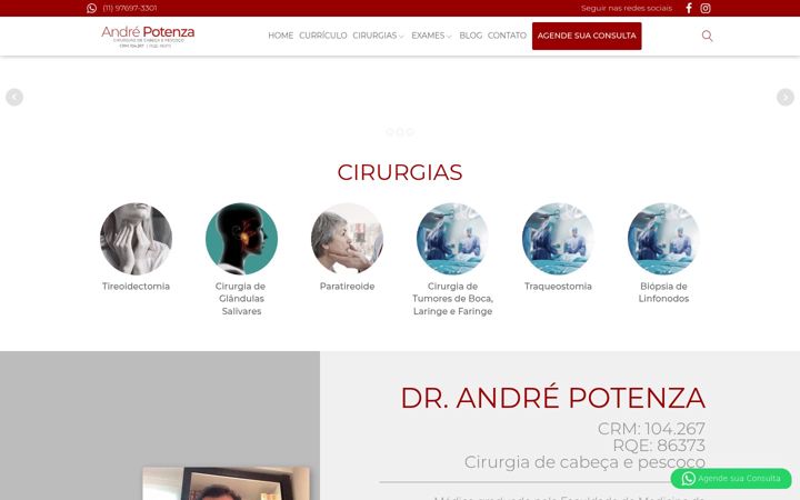 Captura de pantalla de andrepotenza.com.br