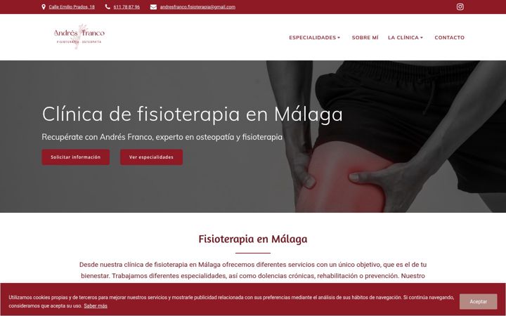 Screenshot of andresfrancofisioterapia.com