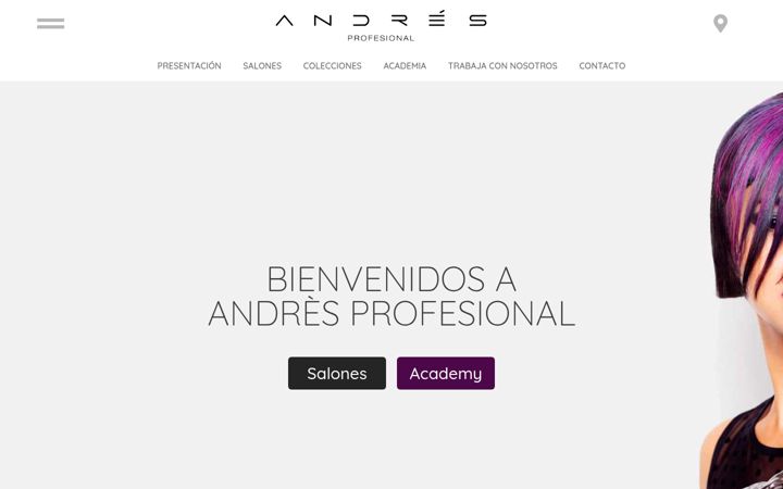 Екранна снимка на andresprofesional.es