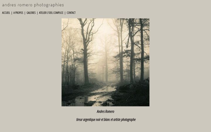 Screenshot of andresromero-photographies.com