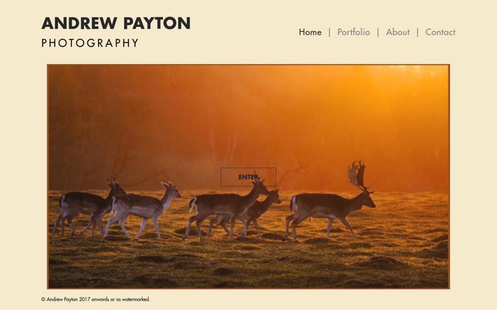 Screenshot of andrewpaytonphotography.com