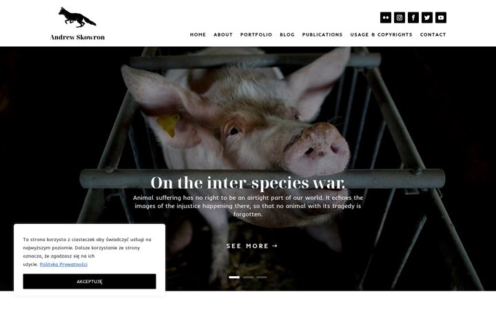 Screenshot of andrewskowron.org