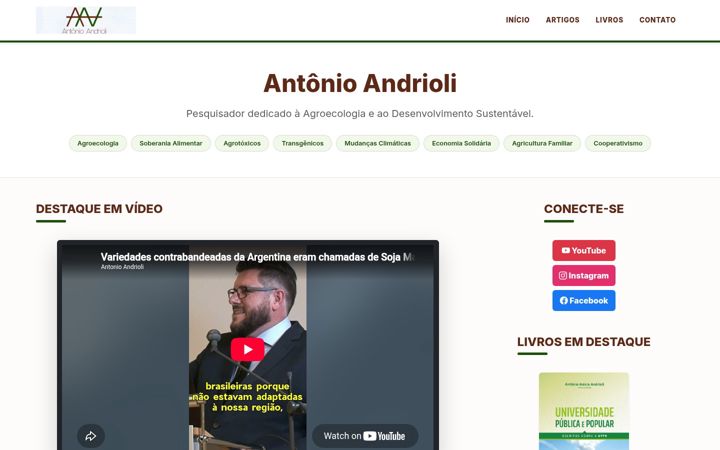 Screenshot of andrioli.com.br