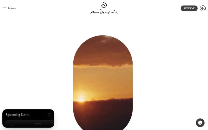 Screenshot of andronis.com