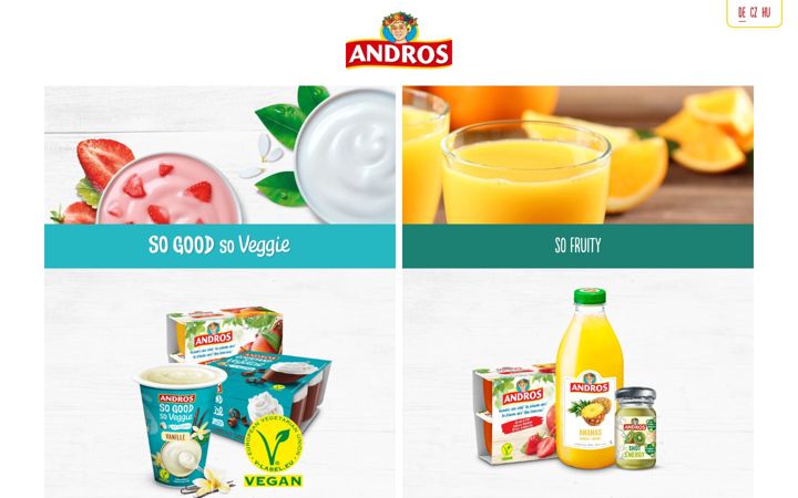 Snímek obrazovky andros-fruit.eu
