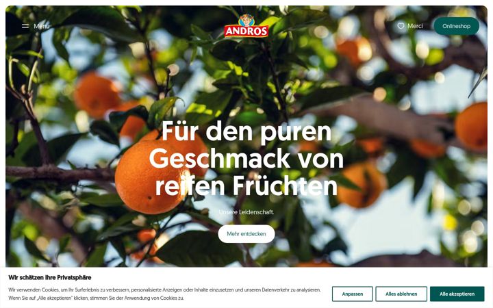 Screenshot of andros.ch