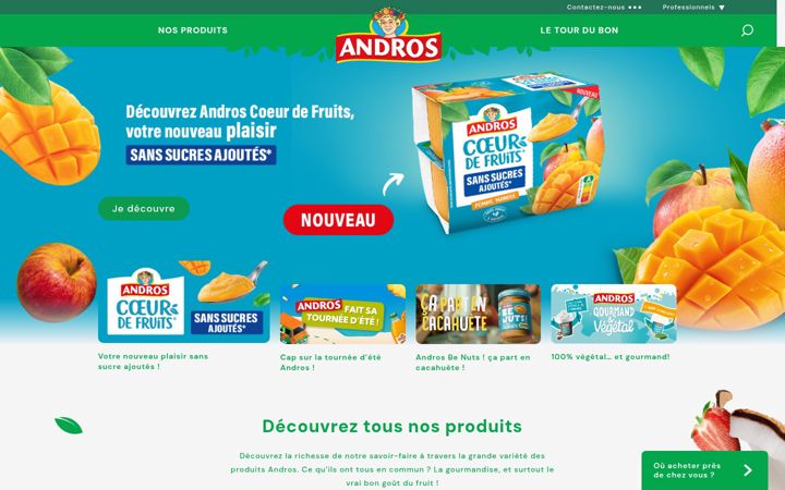 Screenshot of andros.fr