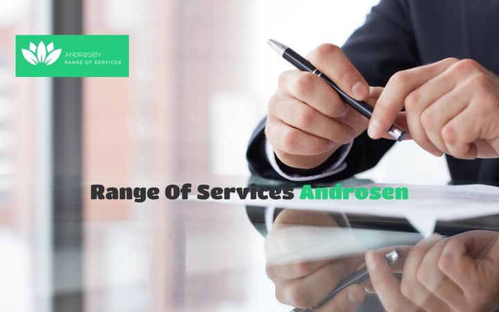 Screenshot of androsen.com.mx
