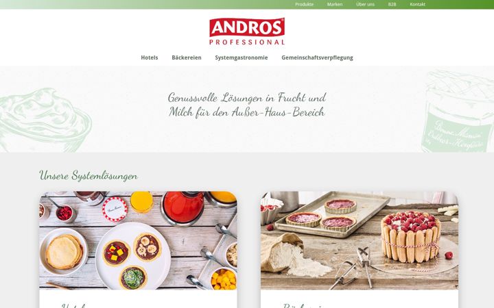 Screenshot of androsprofessional.de