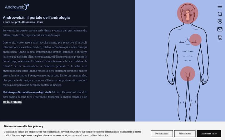 Screenshot of androweb.it