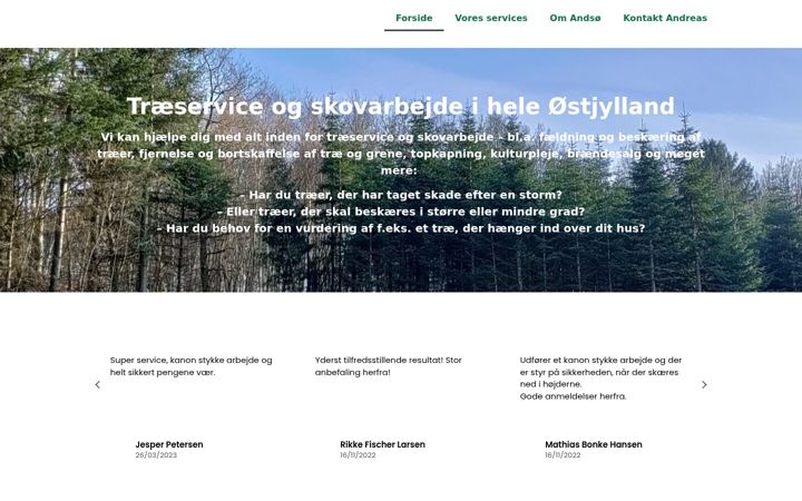 Kuvakaappaus sivustosta andsoe.dk