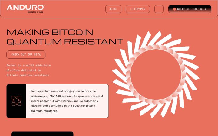Screenshot of anduro.io