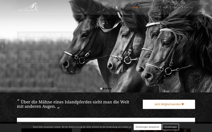 Screenshot of andvari.de