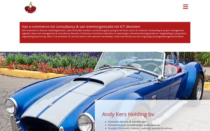 Screenshot of andykers.com