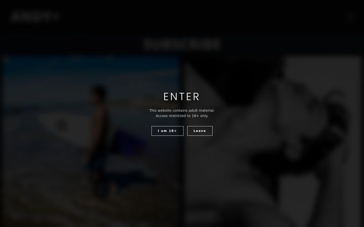 Screenshot of andyplus.me