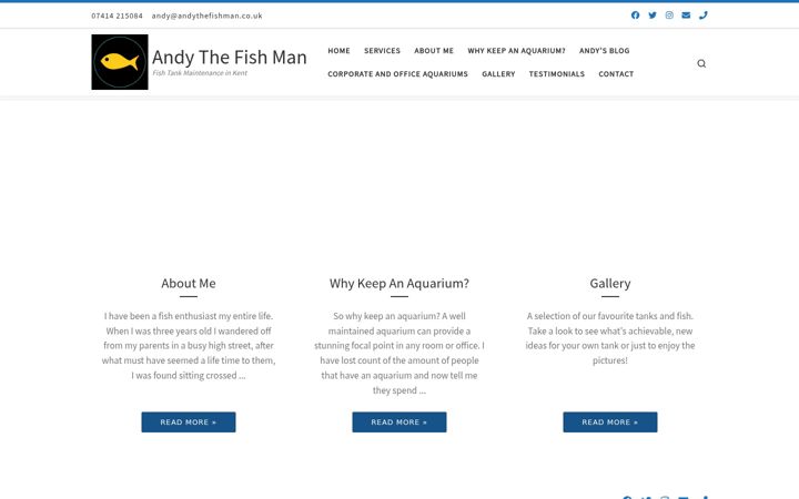 Zrzut ekranu andythefishman.co.uk