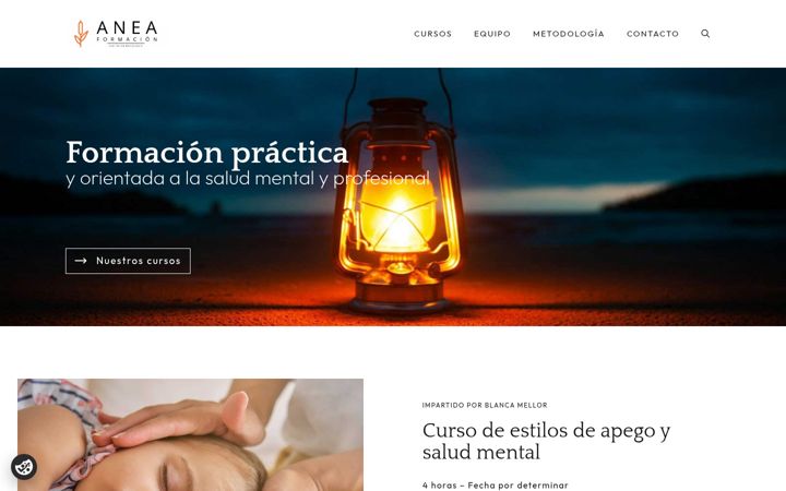 Screenshot of aneaformacion.com