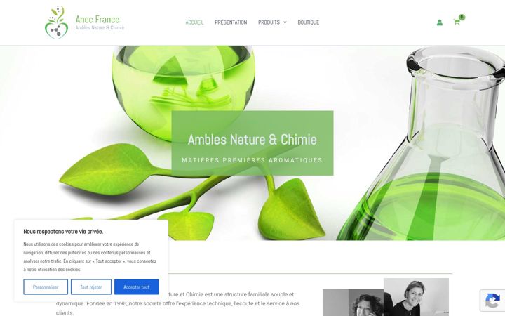 Screenshot of anec-france.com