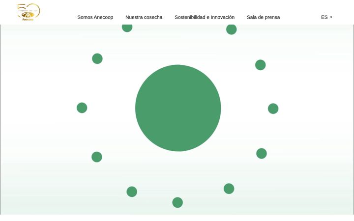 Screenshot of anecoop.com