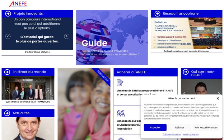 Captură de ecran a anefe.org