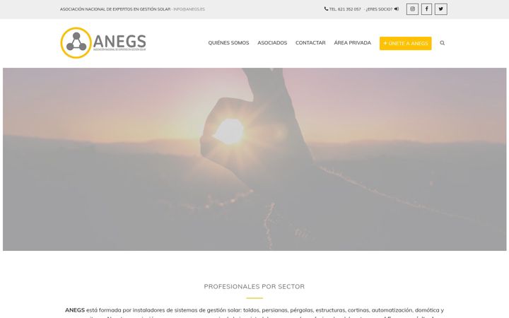 Screenshot of anegs.es