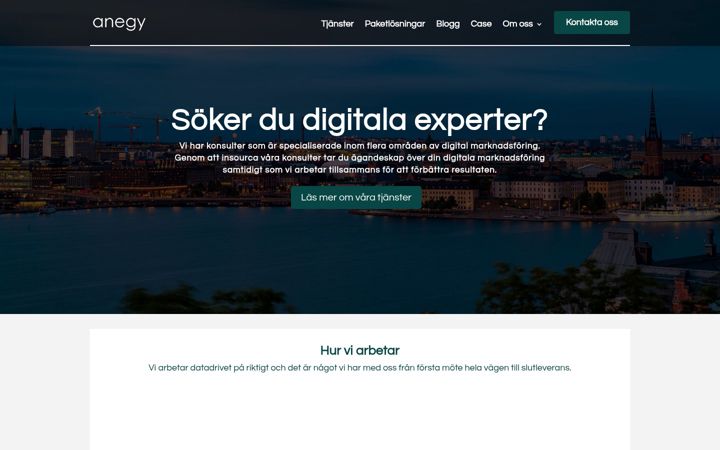 Екранна снимка на anegy.se