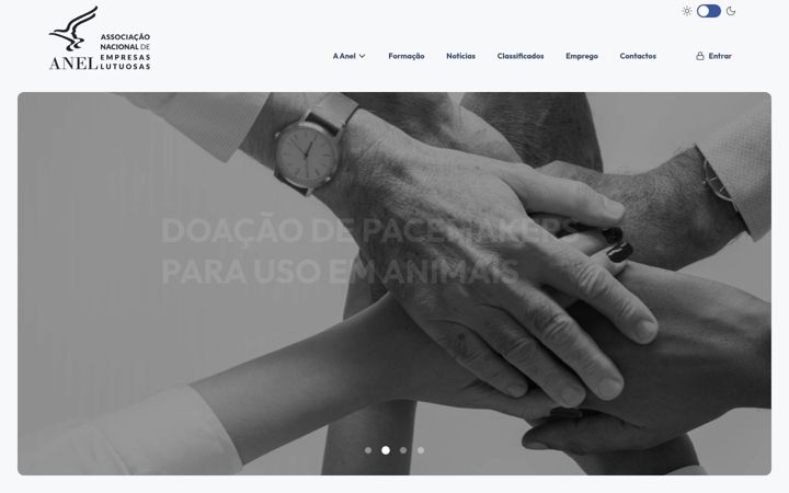 Screenshot of anel.pt
