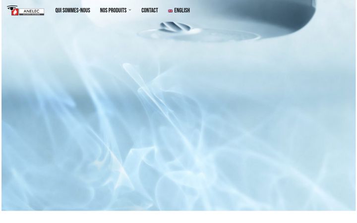 Screenshot of anelec.fr
