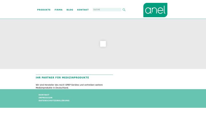 Screenshot of anelmed.de