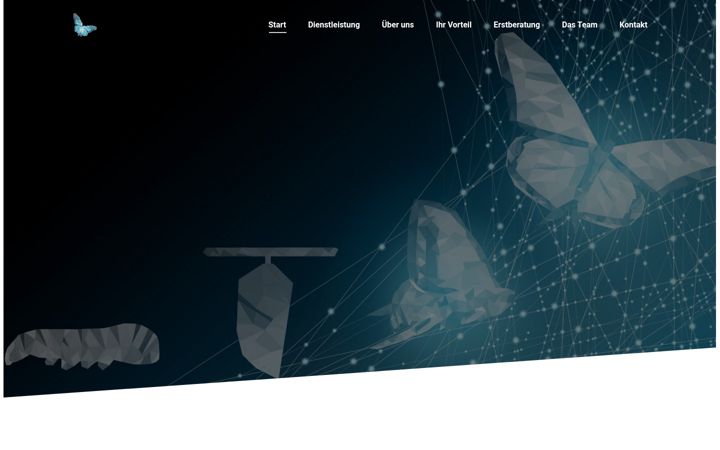 Screenshot of anelon.de