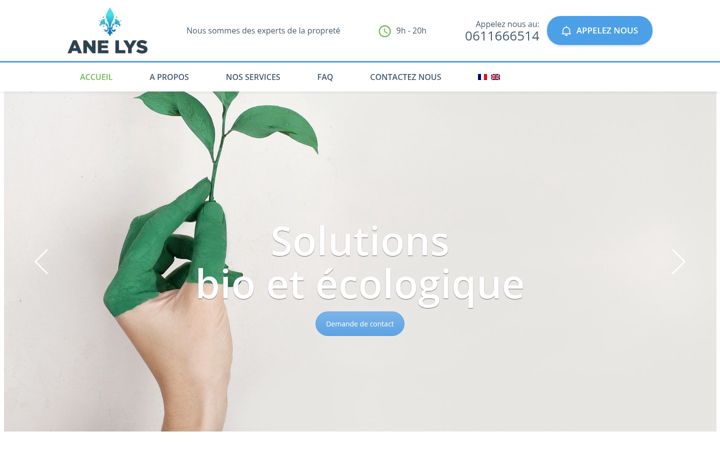 Ekraanipilt saidist anelys.fr