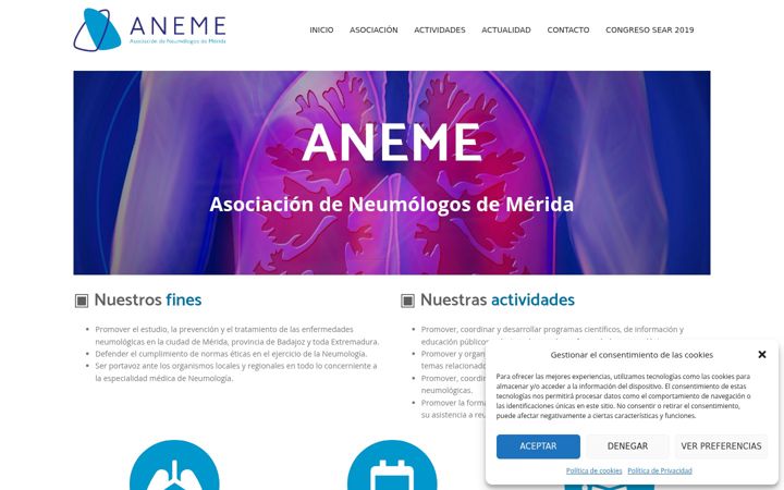 Screenshot of aneme.es
