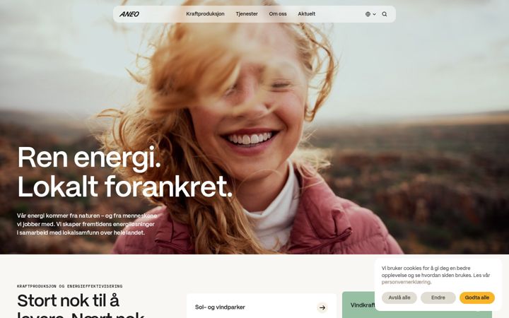 Screenshot of aneo.com