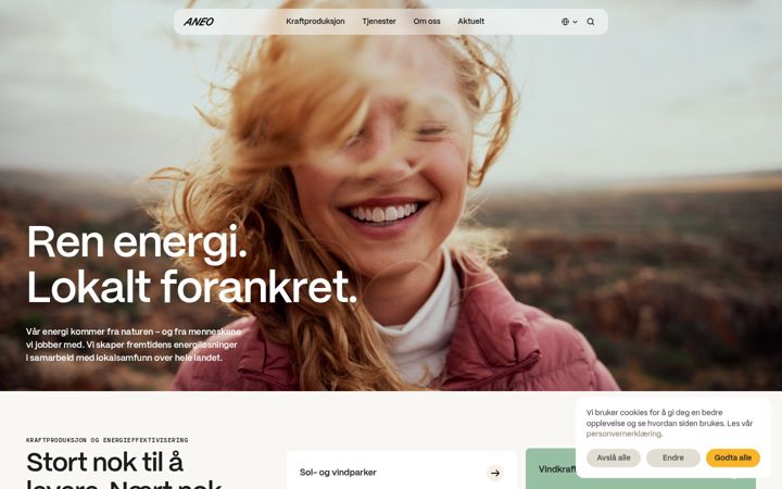 Screenshot of aneogroup.com