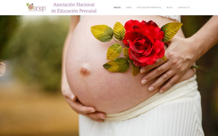 Zrzut ekranu anepeducacionprenatal.org